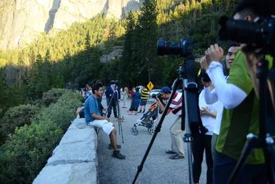 DSC_2482 (Large).JPG